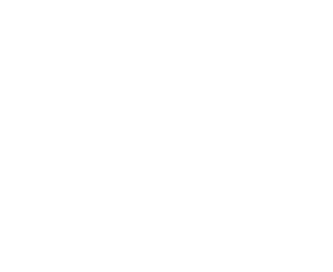 ba_logo blanco